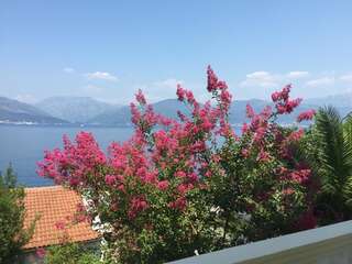 Апартаменты Apartments Villa Marina Krasici Тиват Апартаменты с видом на море-6